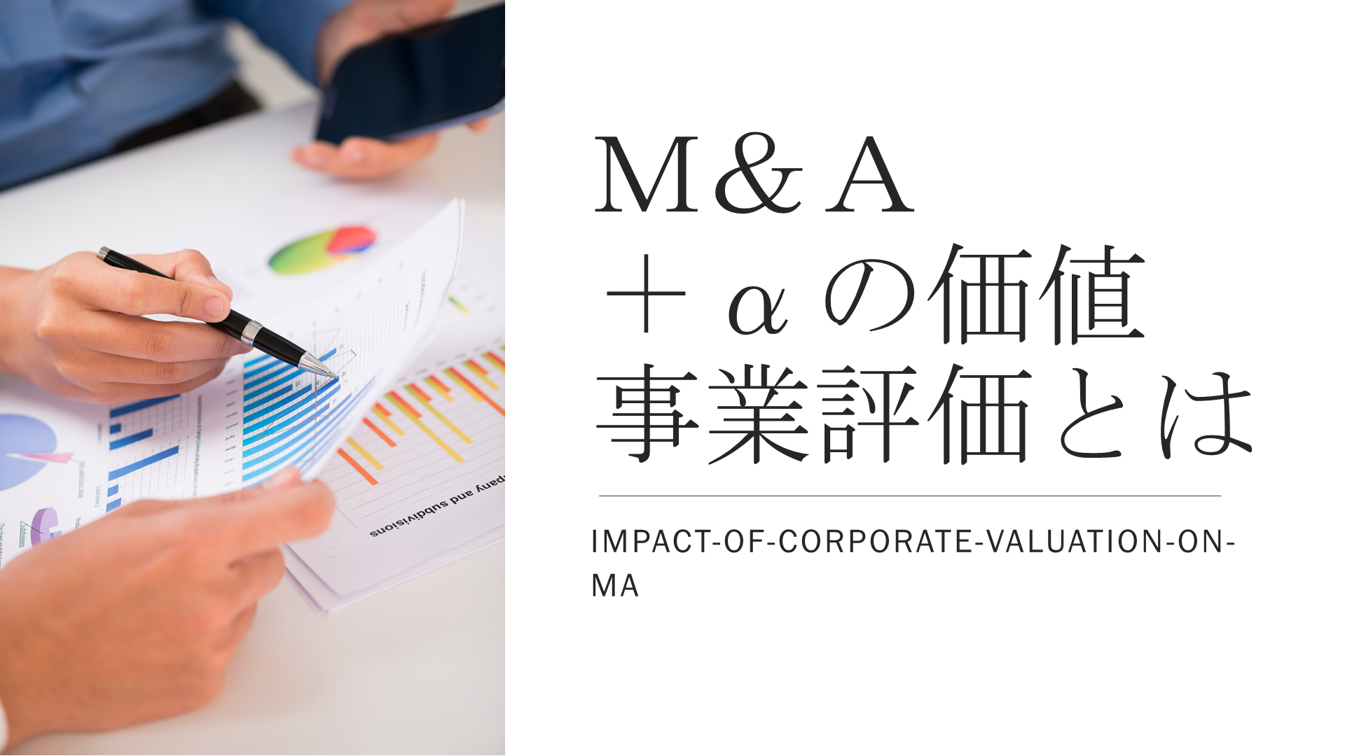 M&Aにおいて企業評価（財務以外の評価）が価格に与える影響について解説しています。